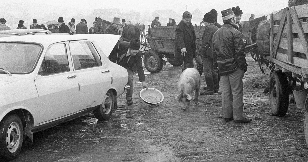 Amikor a szavakat elhallgattatják, a képek beszélnek – ezzel a paradoxonnal találkozunk, amikor egy diktatúra árnyékában élünk. A cenzúra falakat emel a kommunikáció köré, de a vizuális ábrázolások sosem hazudnak. Ezek a képek, még ha torzítva is, egyfajt