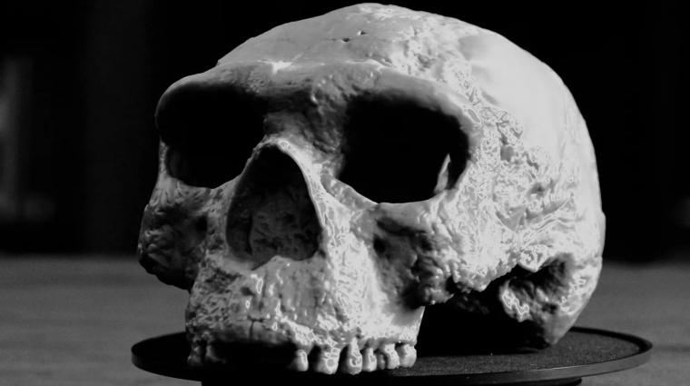 Az egymillió éves emberi koponya új fényben tűnteti fel az emberi evolúció történetét, lehetőséget adva arra, hogy újraértelmezzük az emberi faj fejlődésének kulcsmomentumait. Ez a felfedezés nem csupán régészeti érték, hanem egy újabb darabot ad a fejlőd