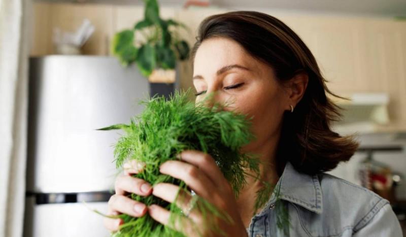 A kapor, ez a friss, aromás fűszer, nem csupán a konyhában nyújt segítséget, hanem számos jótékony hatással is bír az egészségünkre. Gazdag antioxidánsokban, vitaminokban és ásványi anyagokban, így hozzájárulhat a szervezetünk védelméhez. 

Elsősorban emé