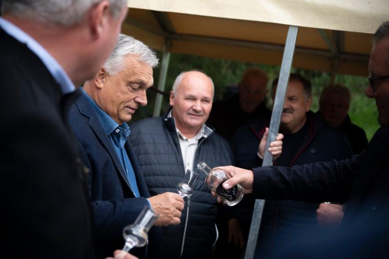 Karafiáth Orsolya: Mit is jelent a magyarnak az alkoholba áztatott, különféle gyümölcsökkel kevert, pálinkafőző üstben érlelt szabadság?