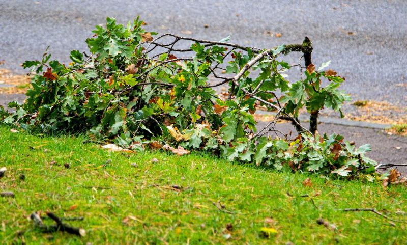 A hőmérséklet emelkedése már tapasztalható, de ne feledkezzünk meg arról sem, hogy az eső hamarosan újra megérkezik egyes területekre - friss időjárás-jelentés.